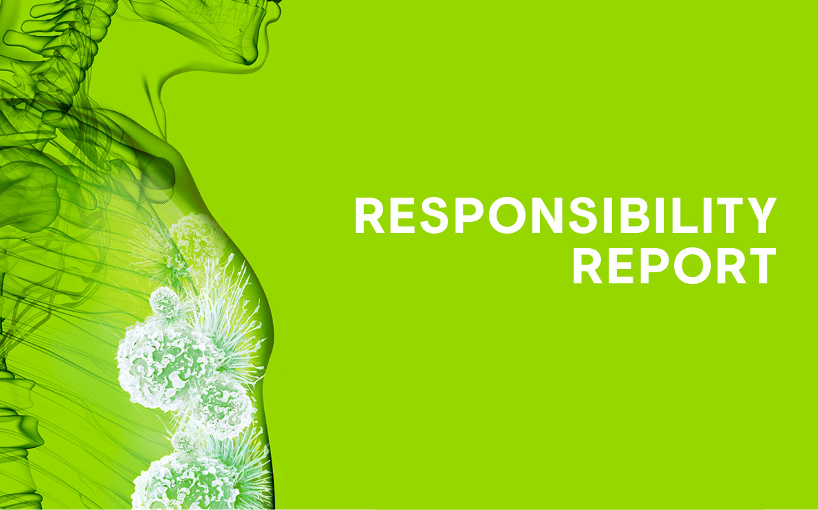 Rapporto sulla responsabilità 2024