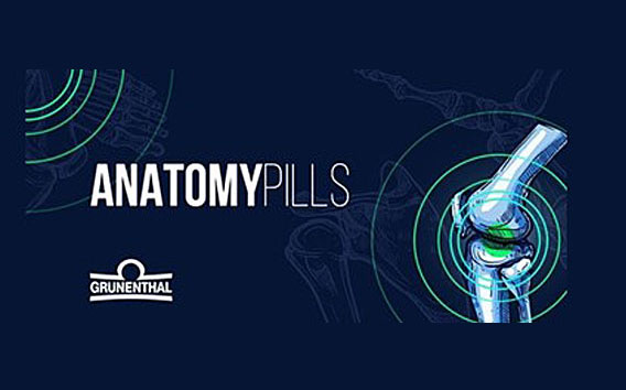 AnatomyPills