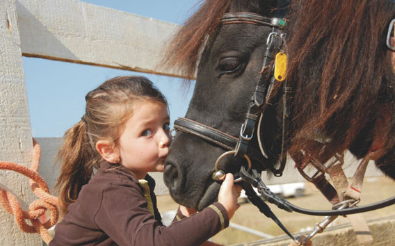 Child and a Horse